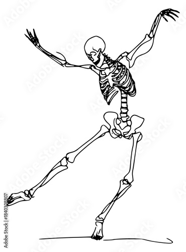 Dancing skeleton line illustration vector