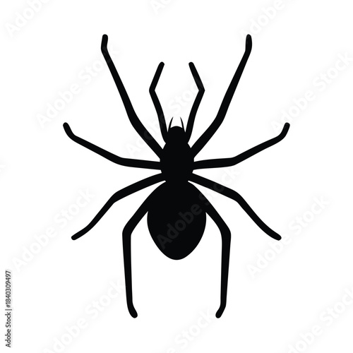 Simple black silhouette graphic of a spider isolated on a clean white background for design