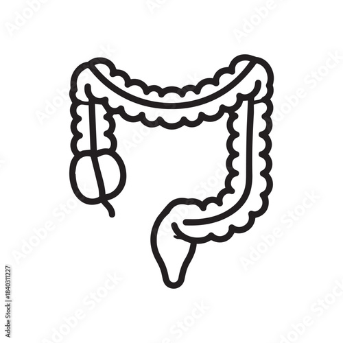 Human Large Intestine and Appendix Anatomy Line Art Icon
