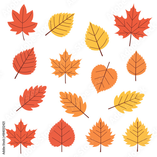Autumn Leaf Collection A vibrant collection of autumnal leaves in various shapes and warm hues, arranged on a surface, each leaf a testament to the season's beautiful transition.