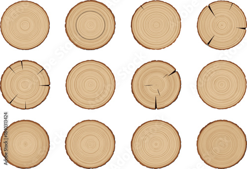 Realistic Wood Log Slices Vector Set: Tree Ring Textures, Cracks and Annual Growth