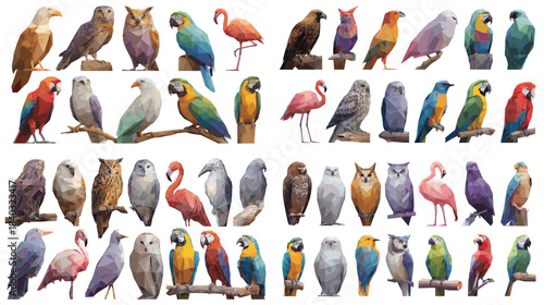 Large collection of realistic bird illustrations featuring parrots, owls, flamingos, and various species. Perfect for nature projects, wildlife education, ornithology materials, and decorative art.