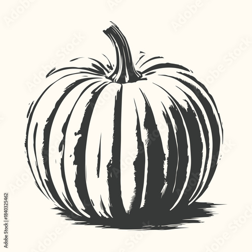 Single Pumpkin with Vertical Grooves and Shadow squash gourd