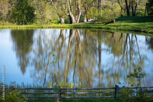 Peaceful Tree Reflections Across Still Latvian Pond