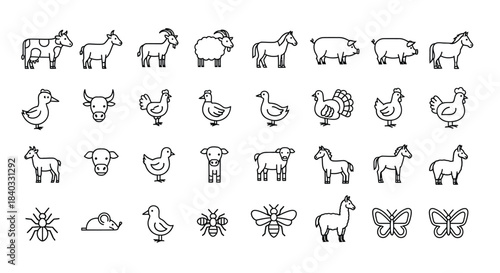 Collection of farm animal icons isolated on, featuring cow, goat, sheep, horse, pig, duck, bull, chicken, turkey, and butterfly