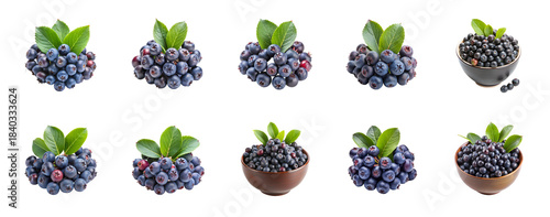Collection of Saskatoon berries isolated on transparent background