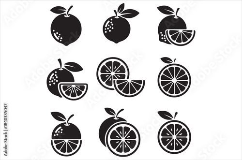 Black and white illustration of various citrus fruit shapes and slices