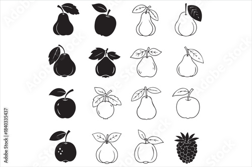 A collection of black and white illustrations depicting various fruits and foliage