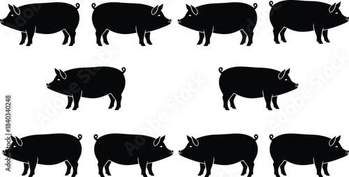 Collection of Black Silhouette Pigs and Hogs in Various Standing and Profile Poses, Simple Flat Vector Illustration Set for Farm or Meat Industry Logo Design, Isolated on White Background,