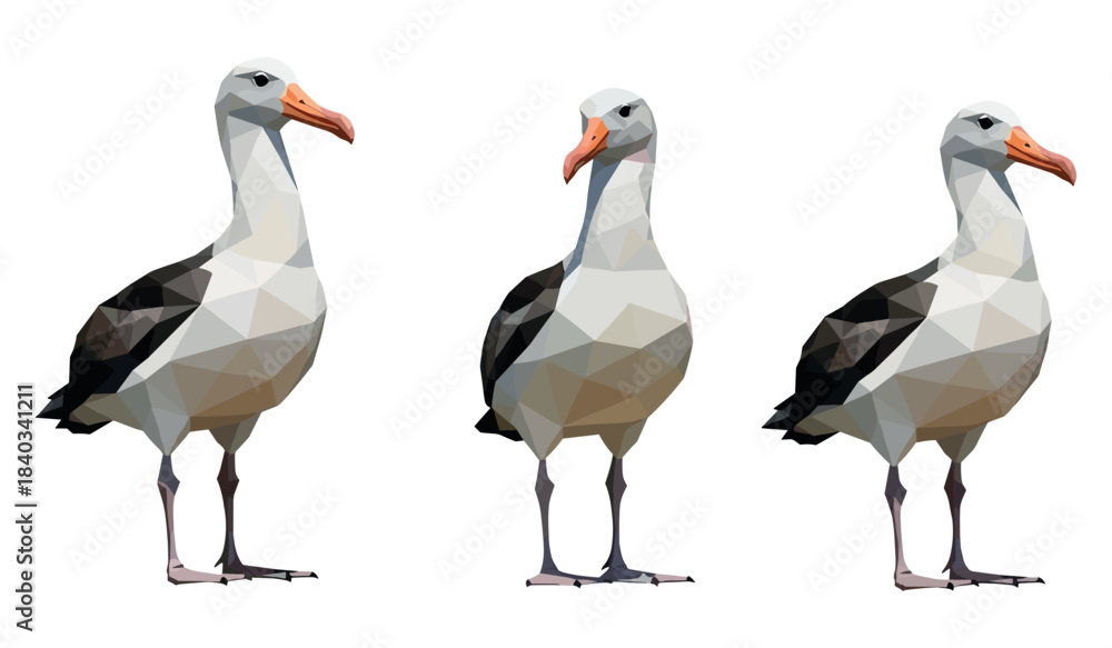 Fototapeta premium Low-poly albatross trio: geometric birds with distinctive beaks and plumage