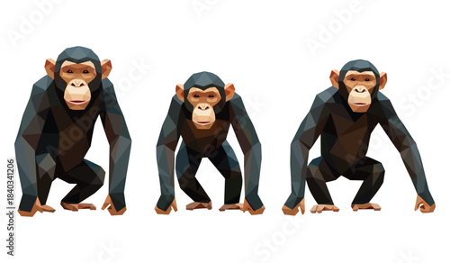 Polygonal chimpanzees trio in various poses on white background