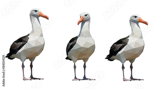 Low-poly albatross trio: geometric birds with distinctive beaks and plumage