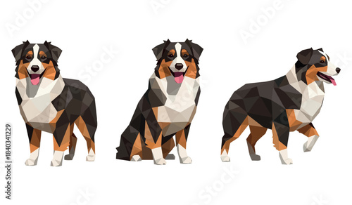 Low poly australian shepherd trio on white background