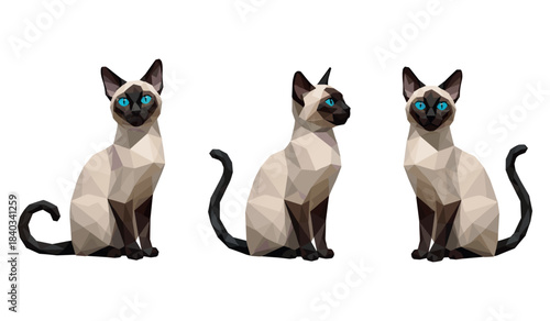 Geometric siamese cats trio with blue eyes