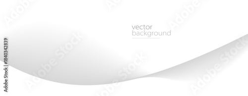 Curve shape flow vector abstract background in light grey gradient, dynamic and speed concept, futuristic technology or motion art.