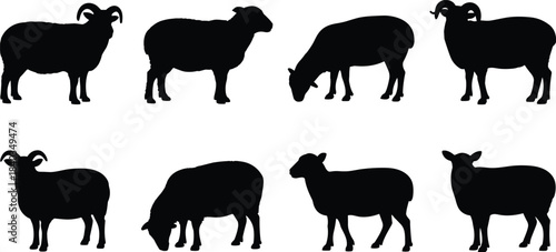 Sheep and ram silhouette vector illustration, grazing and standing poses, horned animal icons, cad drawing flat vector illustration, livestock design