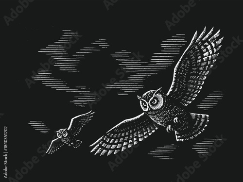 Moody black and white vector illustration of an owl and small bird flying across a textured night sky, perfect for storytelling art, book illustrations, nature prints, and atmospheric graphic projects