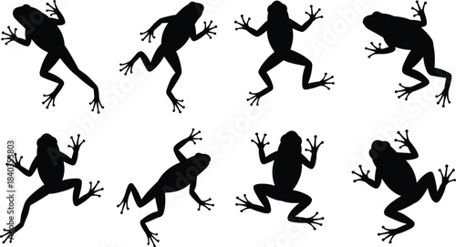 Frog silhouette vector, amphibian pose icon, jumping frog shape, black outline animal, cad drawing flat vector illustration