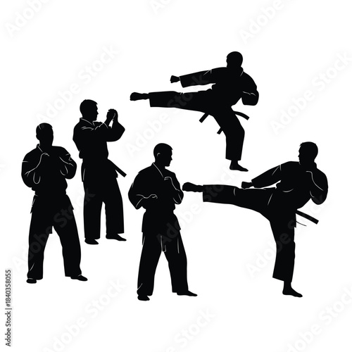 Silhouettes of martial artists performing various karate moves and poses