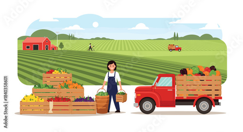 Female farmer harvesting fresh vegetables and fruits on a sunny day, loading wooden crates onto a red truck at the family farm.