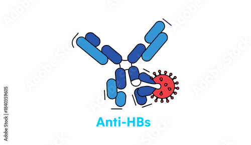 Anti-HBs Antibody Attacking Hepatitis B Virus (HBV) Illustration. Immunity and Vaccination Concept.