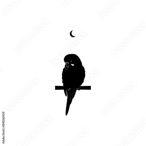 Budgie silhouette sleeping head tucked vector illustration
