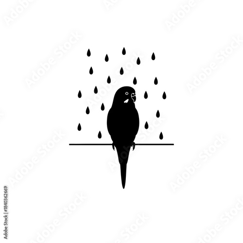 Budgie silhouette in rain negative space drops vector illustration