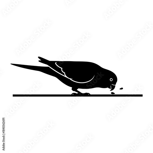 Budgie silhouette feeding pose nature minimal vector illustration