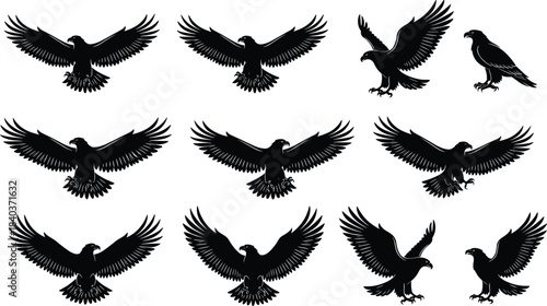 Majestic Black Eagle Silhouette Set, Flying Bird of Prey with Spread Wings, Perching Stance, Patriotic Symbol Isolated on White Background, Wildlife Animal Flat Vector Illustration
