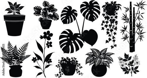 Collection of tropical plants in black and white silhouettes for botanical design