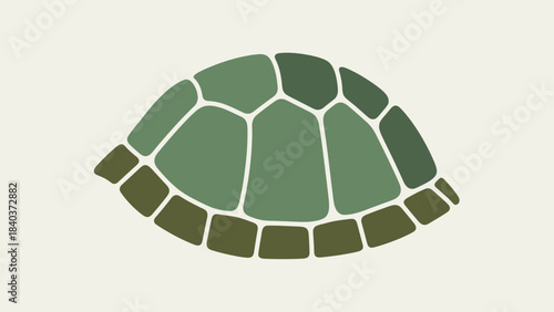 Green Turtle Shell Pattern.