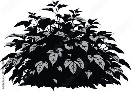 Vintage botanical illustration of lush tropical foliage with detailed leaf patterns