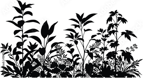 Silhouetted tropical foliage creates a dense jungle scene against a bright background