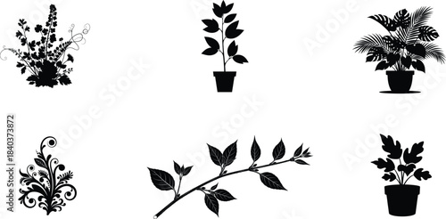 Black and white botanical silhouettes of various indoor potted plants and foliage