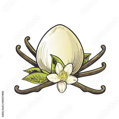Egg with Vanilla Bean, Flower and Leaf Still Life Illustration, Close-Up