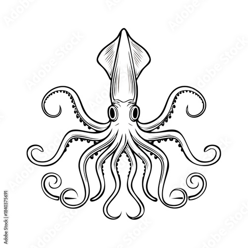 Detailed Squid Ink Drawing with Curled Tentacles Vector Illustration
