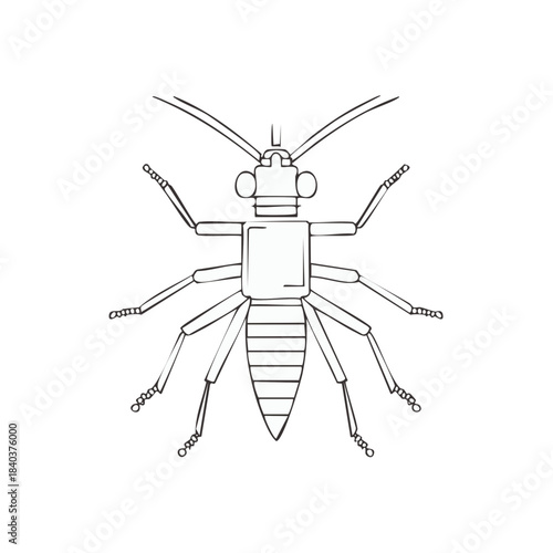 Mayfly Insect Illustration, Entomology Art, Bug Outline, Drawn Graphic
