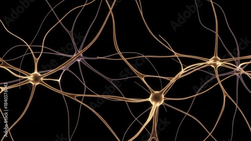 Neurons interconnected network on black background 2025 2026 download brain nervous