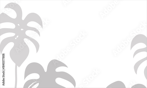 Monstera leaf shadow overlay on white background. Soft blurred shadow of monstera leaves cast on a white background, perfect for natural overlays, modern layouts, and subtle design accents.

