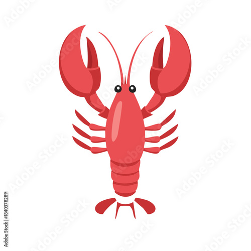 Cartoon of red lobster illustration on white, showing crustaceans, claws, food, ocean, sea, and marine life.