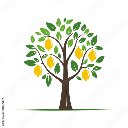 Lemon tree vector with ripe yellow fruit hanging on branches and fresh green leaves