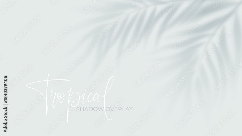 Fototapeta premium Tropical palm shadow overlay on white background with soft sunlight effect. Realistic leaf silhouette creates natural summer shade for design projects and posters