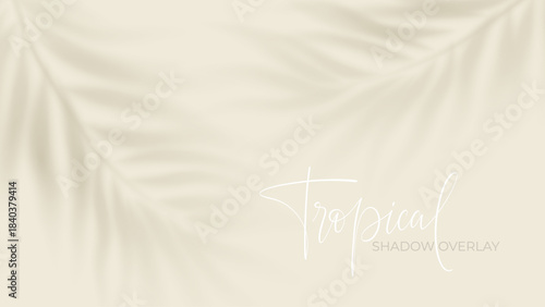 Summer palm leaf shadow with blurred tropical foliage effect. Natural shade overlay adds realistic sunlight ambiance to banners, templates, and graphic layouts