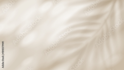 Blurred palm leaf shadow creates soft tropical atmosphere. Natural foliage silhouette overlay perfect for summer banners, spring templates, and abstract design mockups