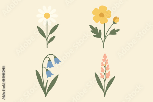 minimalist typographic illustration of four spring flowers in the same delicate flat/hand-drawn style