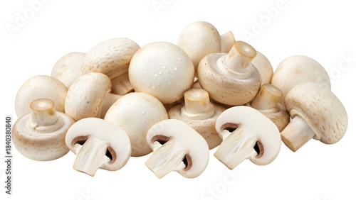 Fresh white button mushroom, isolated on white or transparent background. PNG