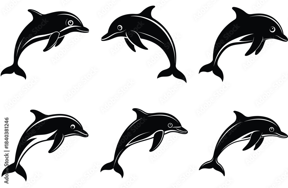 Obraz premium dolphin vector