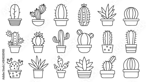 Minimalist thin line icons featuring various cacti and succulents, perfect for gardening blogs, botanical illustrations, and home decor.