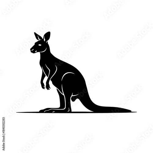 Kangaroo silhouette standing side view with tail extended vector illustration