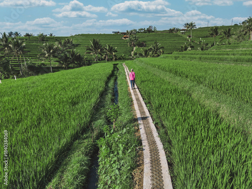 Woman Walking Along Rice Field Path In Ubud Bali, Aerial View Of Lone Traveler In Pink Dress On Narrow Stone